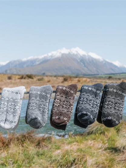 Norrd(5 pairs)